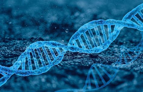 Explore 446+ Free Dna Illustrations: Download Now .